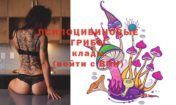 прущий лед Белокуриха