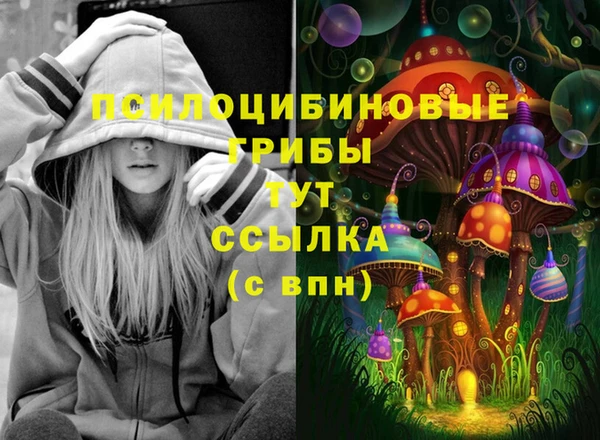 МДМА Беломорск