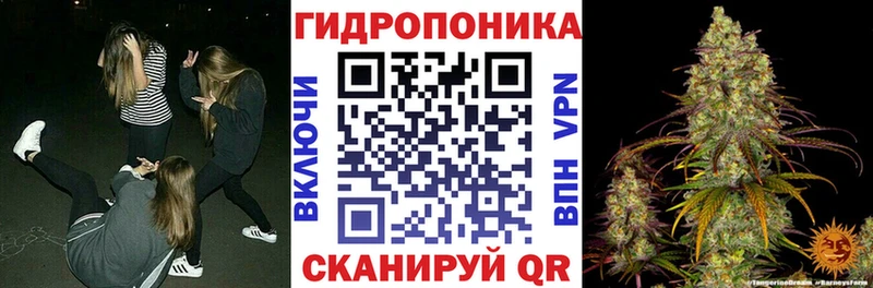 цены   Володарск  OMG как зайти  Шишки марихуана план 